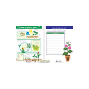 How Do Plants Grow? Visual Learning Guide - Grades 3 - 5