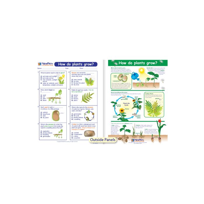 How Do Plants Grow? Visual Learning Guide - Grades 3 - 5