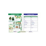 Grouping of Plants Visual Learning Guide - Grades 3 - 5