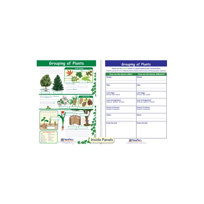 Grouping of Plants Visual Learning Guide - Grades 3 - 5