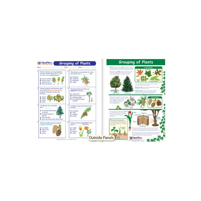 Grouping of Plants Visual Learning Guide - Grades 3 - 5