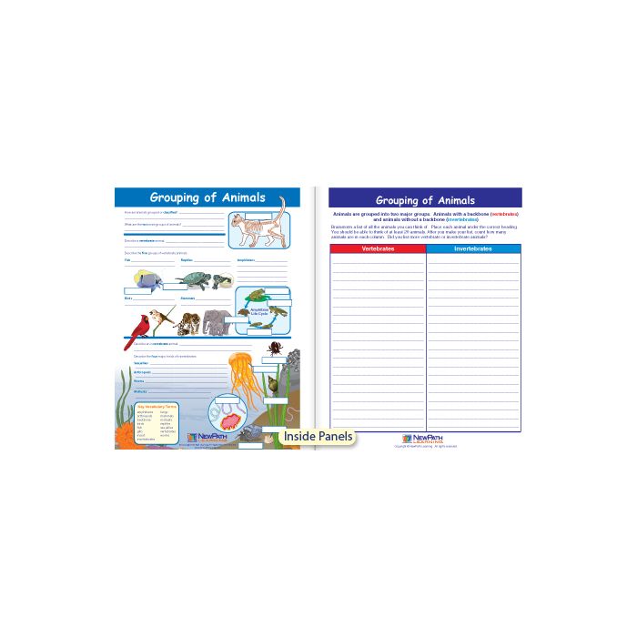 Grouping of Animals Visual Learning Guide - Grades 3 - 5