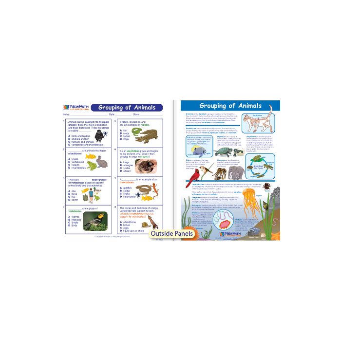 Grouping of Animals Visual Learning Guide - Grades 3 - 5