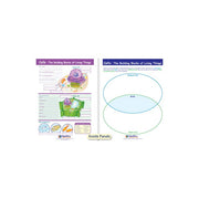 Cells - The Building Blocks of Living Things Visual Learning Guide - Grades 3 - 5