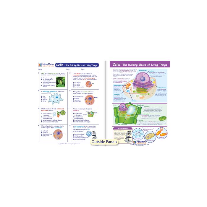 Cells - The Building Blocks of Living Things Visual Learning Guide - Grades 3 - 5