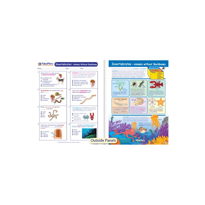 Invertebrates - Animals without Backbones Visual Learning Guide - Grades 3 - 5
