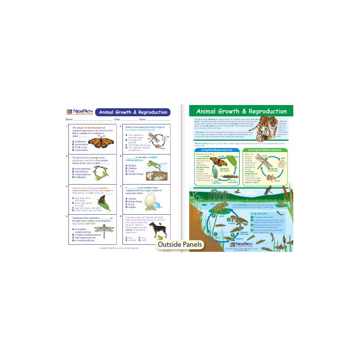 Animal Growth & Reproduction Visual Learning Guide - Grades 3 - 5