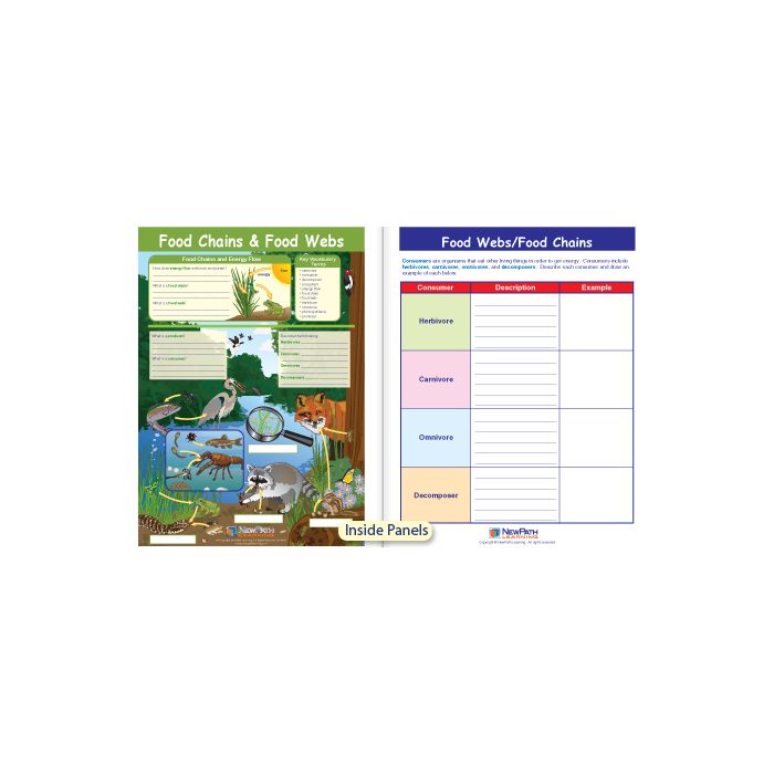 Food Chains & Food Webs Visual Learning Guide - Grades 3 - 5