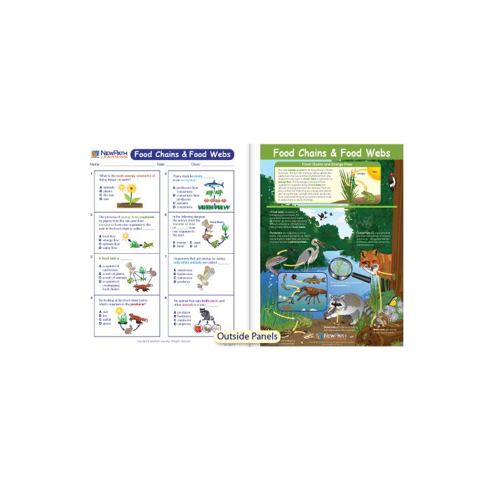 Food Chains & Food Webs Visual Learning Guide - Grades 3 - 5