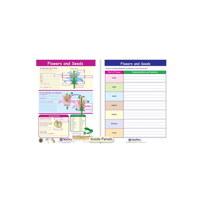 Flowers & Seeds Visual Learning Guide - Grades 3 - 5
