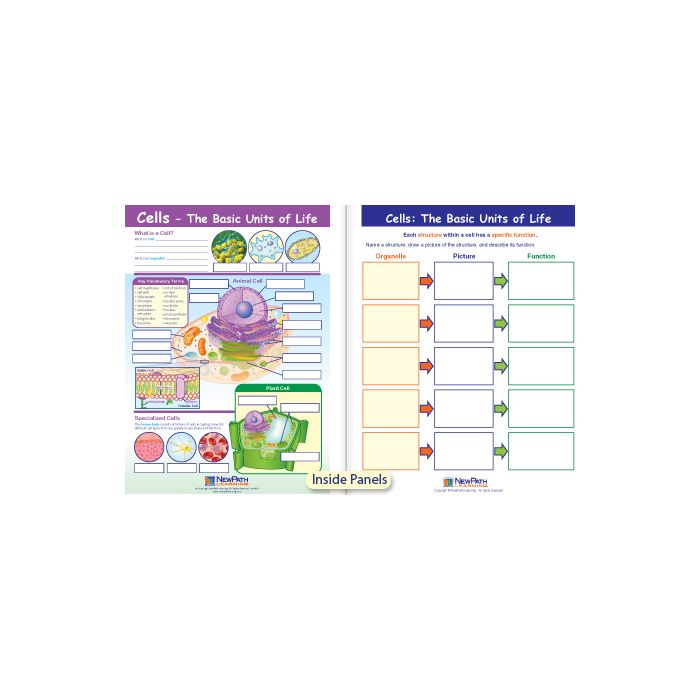 Cells - The Basic Units of Life Visual Learning Guide - Grades 6 - 9
