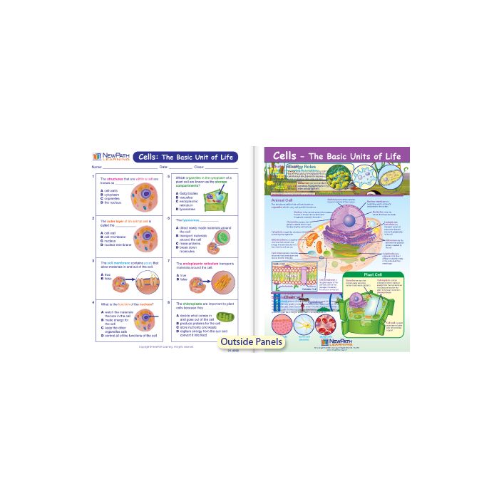 Cells - The Basic Units of Life Visual Learning Guide - Grades 6 - 9