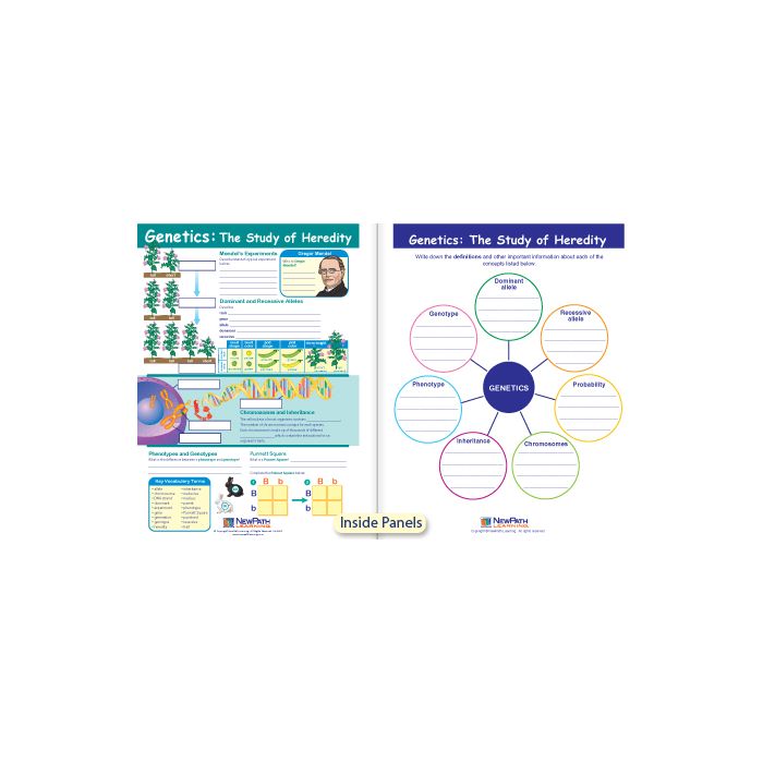 Genetics - The Study of Heredity Visual Learning Guide - Grades 6 - 9