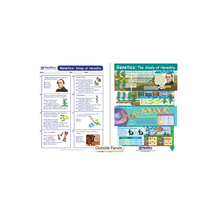 Genetics - The Study of Heredity Visual Learning Guide - Grades 6 - 9