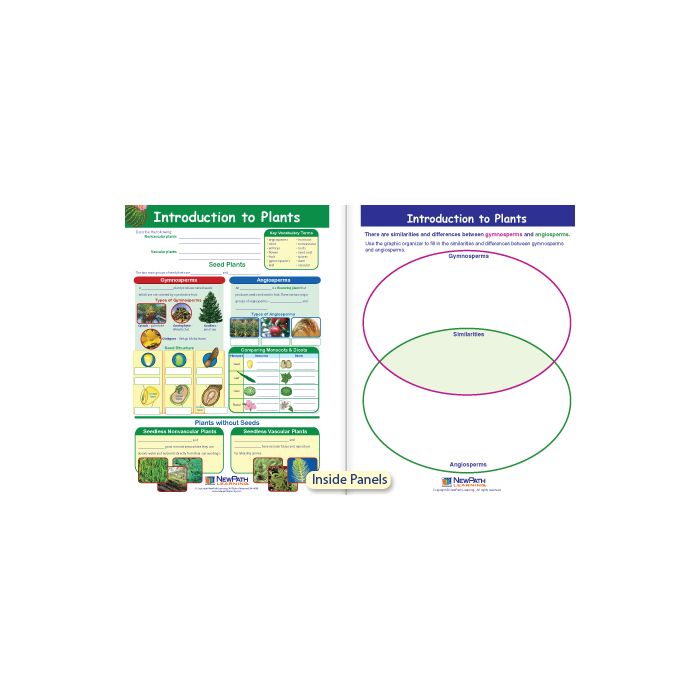 Introduction to Plants Visual Learning Guide - Grades 6 - 9