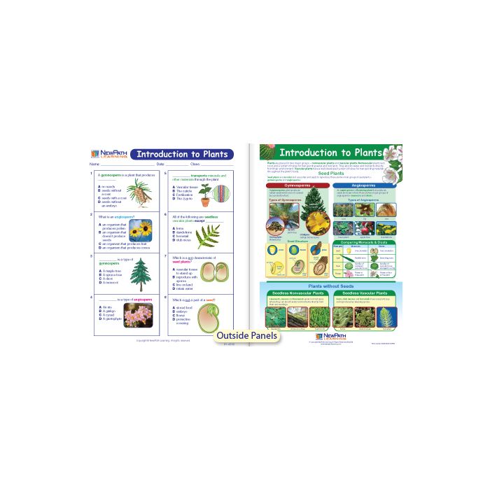 Introduction to Plants Visual Learning Guide - Grades 6 - 9