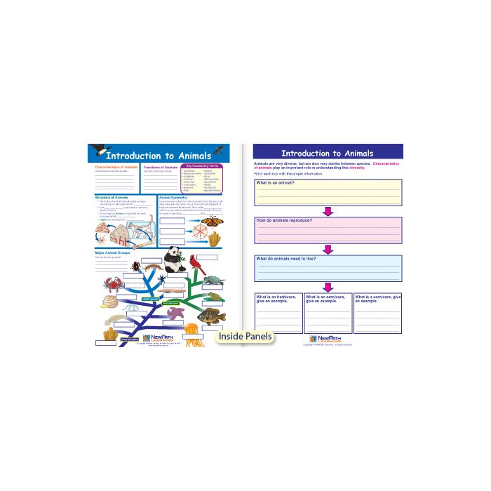 Introduction to Animals Visual Learning Guide - Grades 6 - 9