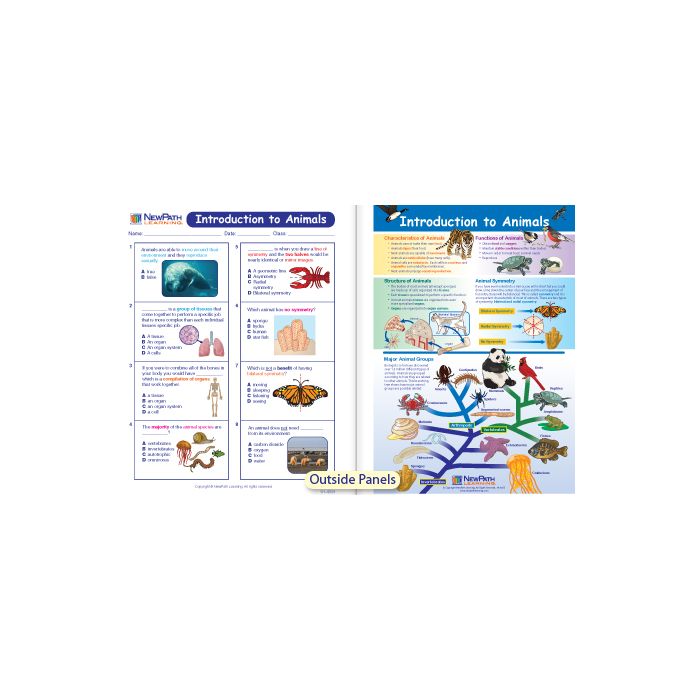 Introduction to Animals Visual Learning Guide - Grades 6 - 9