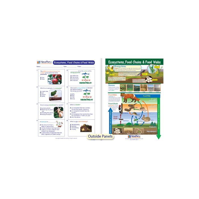 Ecosystems, Food Chains & Food Visual Learning Guide - Grades 6 - 9