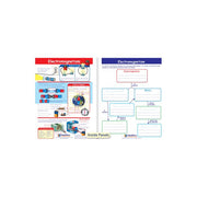 Electromagnetism Visual Learning Guide - Grades 6 - 9