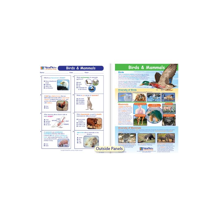 Mammals & Birds Visual Learning Guide - Grades 6 - 9