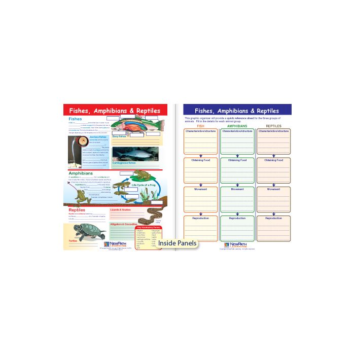 Fishes, Amphibians & Reptiles Visual Learning Guide - Grades 6 - 9