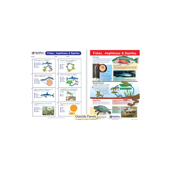 Fishes, Amphibians & Reptiles Visual Learning Guide - Grades 6 - 9