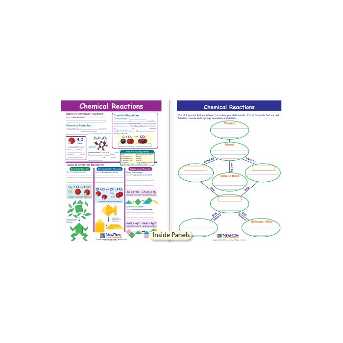 Chemical Reactions Visual Learning Guide - Grades 6 - 9