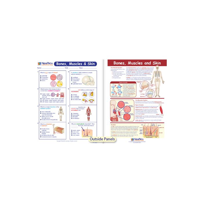 Bones, Muscles & Skin Visual Learning Guide - Grades 6 - 9