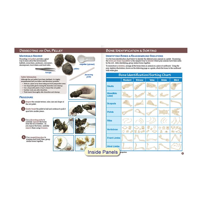Owl Pellet Dissection Lab - Classroom Set