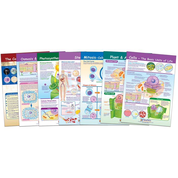 Cells Bulletin Board Chart Set - Set of 7