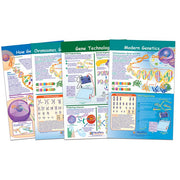 Chromosomes Bulletin Board Chart Set - Set of 4