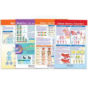 Genetics Bulletin Board Chart Set - Set of 4