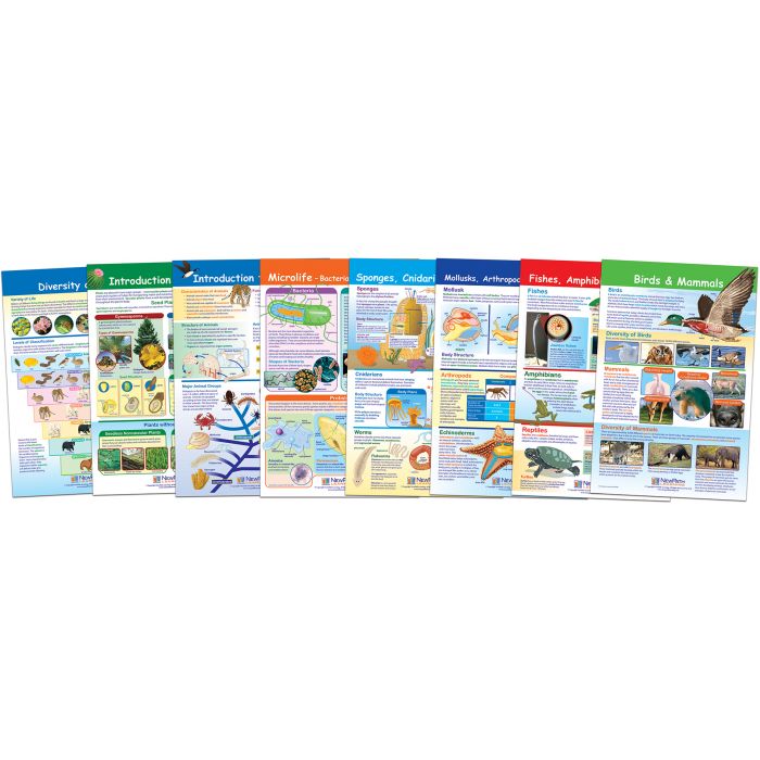Diversity of Life Bulletin Board Chart Set - Set of 8