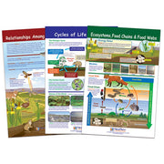 Ecology Bulletin Board Chart Set - Set of 3