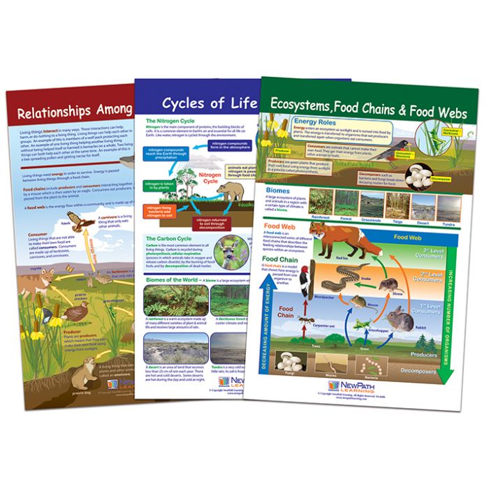 Ecology Bulletin Board Chart Set - Set of 3
