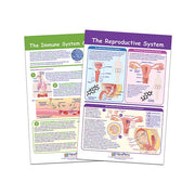 Maintaining Life Bulletin Board Chart Set - Set of 2