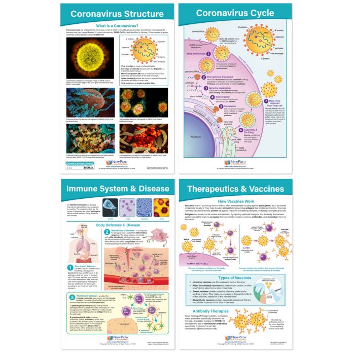 Coronavirus Structure & Immunity Bulletin Board Chart Set - Set of 4