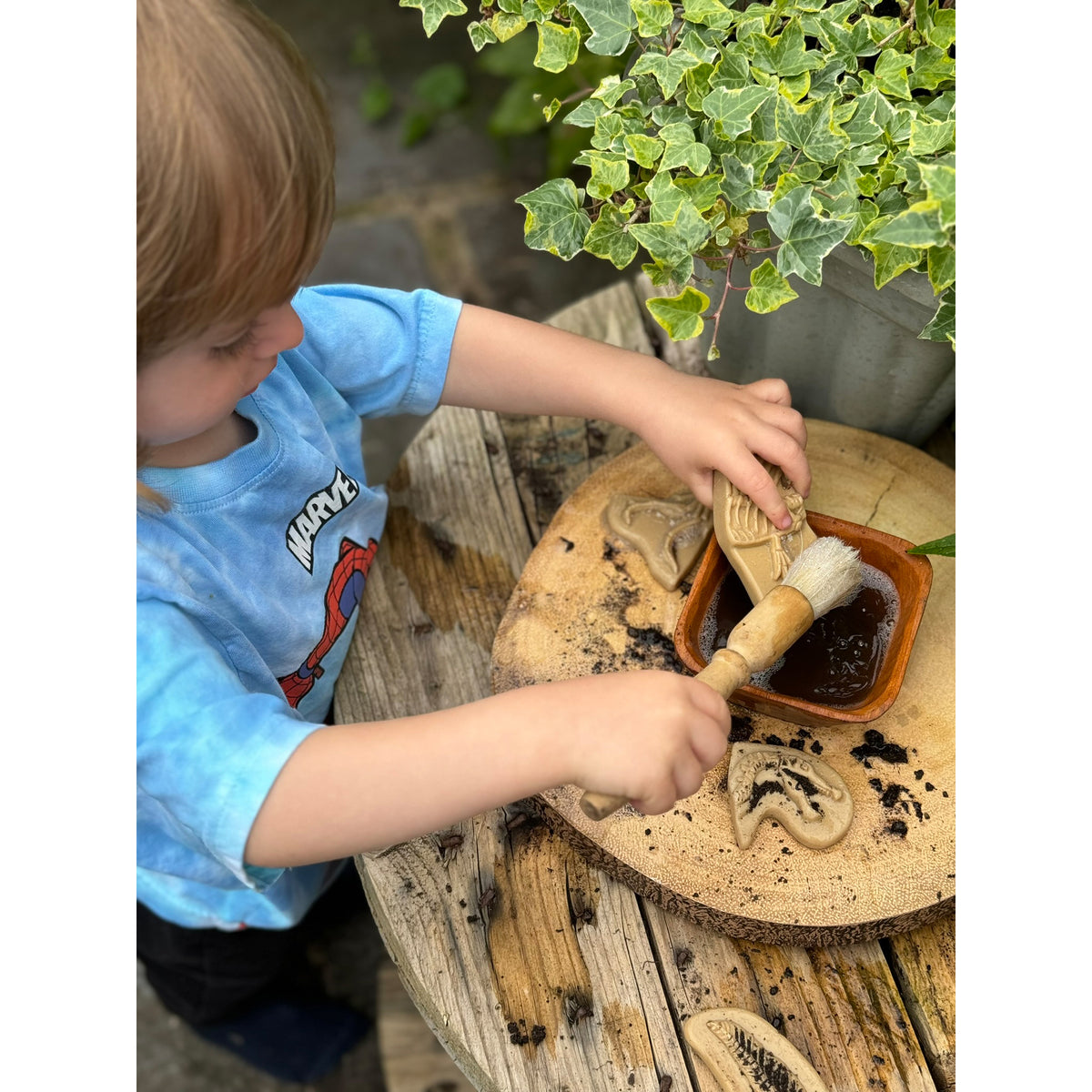 Dig and Discover - Triceratops & Spinosaurus