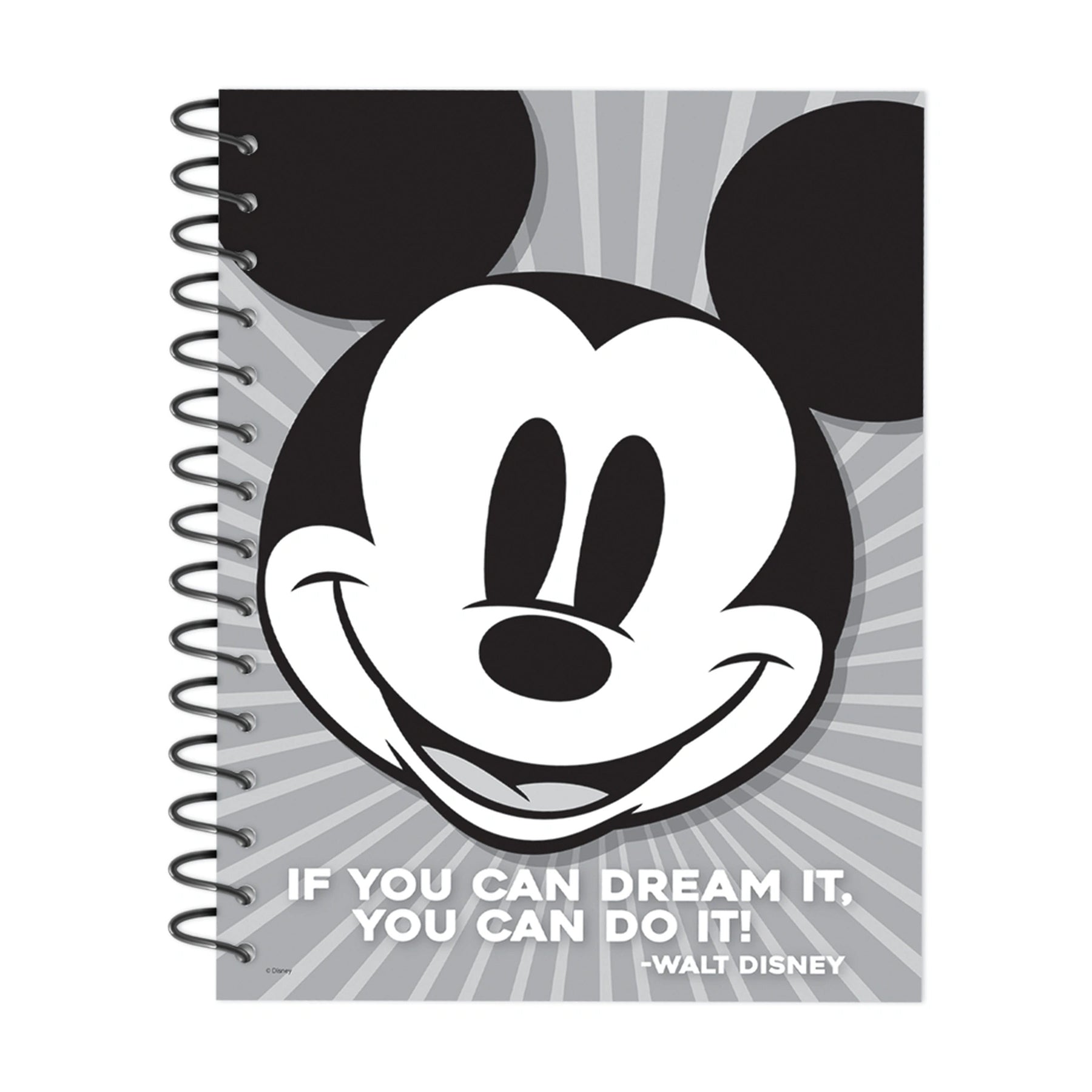 Mickey Mouse® Throwback Lesson Plan Spiral Bound Book