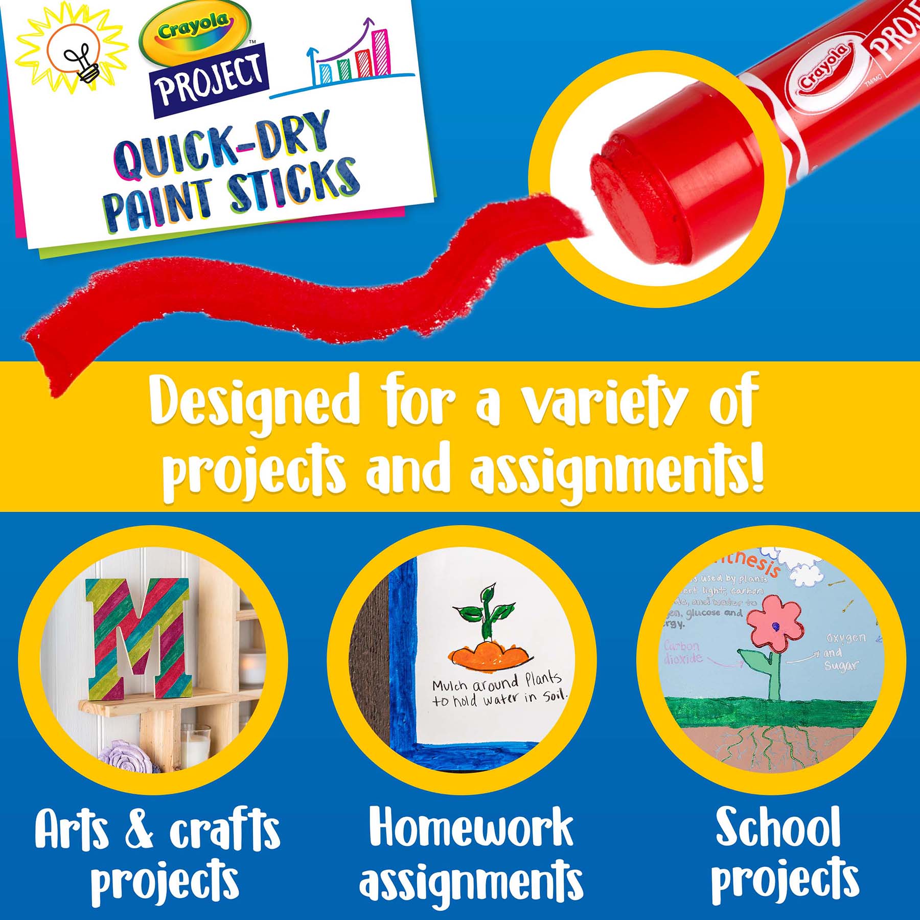 Project™ Quick-Dry Paint Sticks, 6 Count
