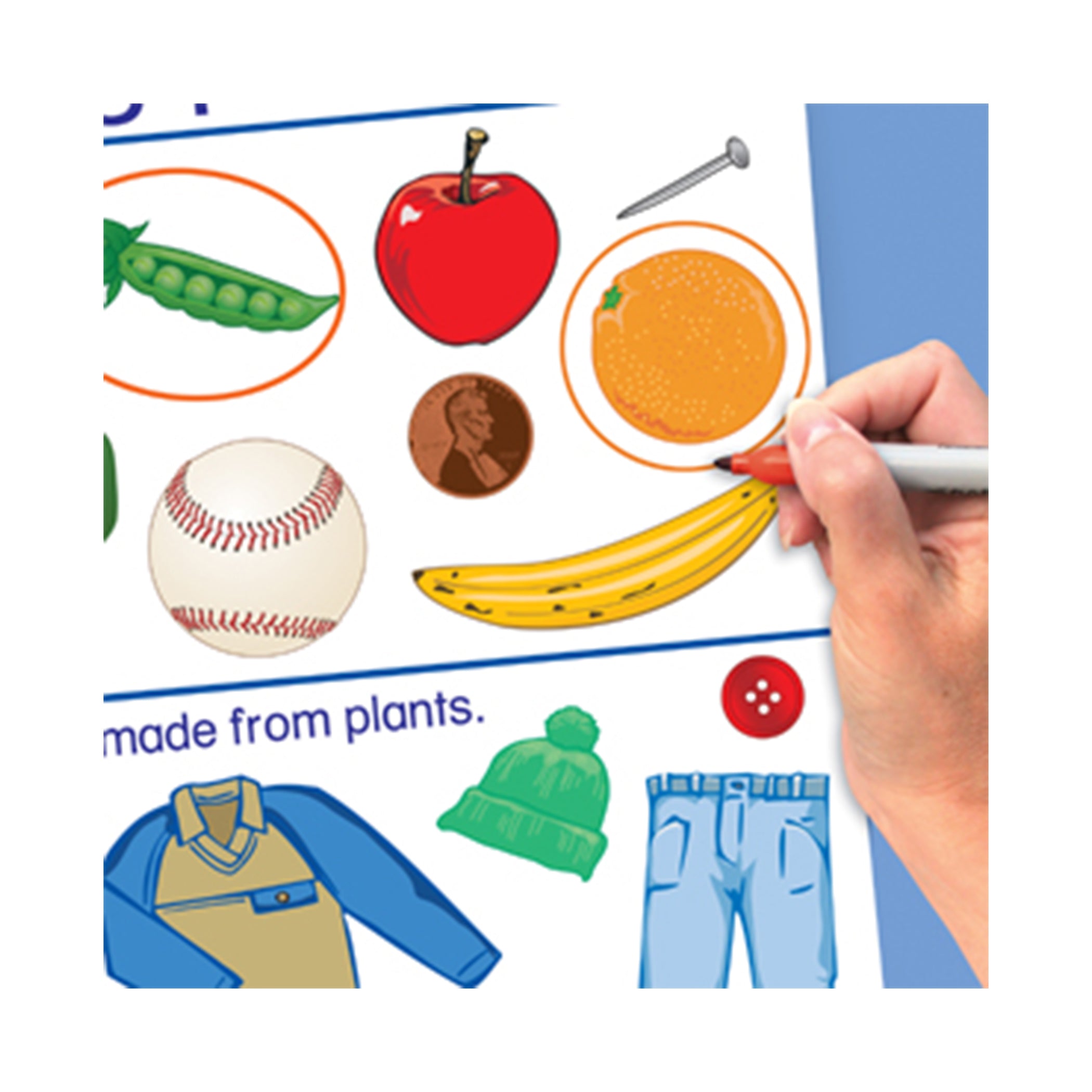 Early Childhood Science Readiness Flip Charts, All About Plants