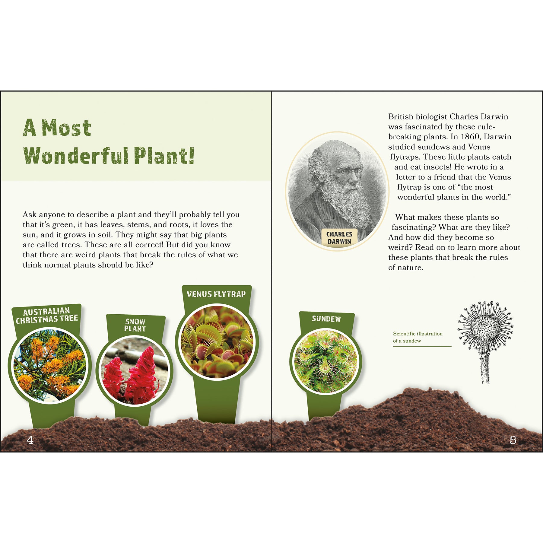 Plants That Break the Rules