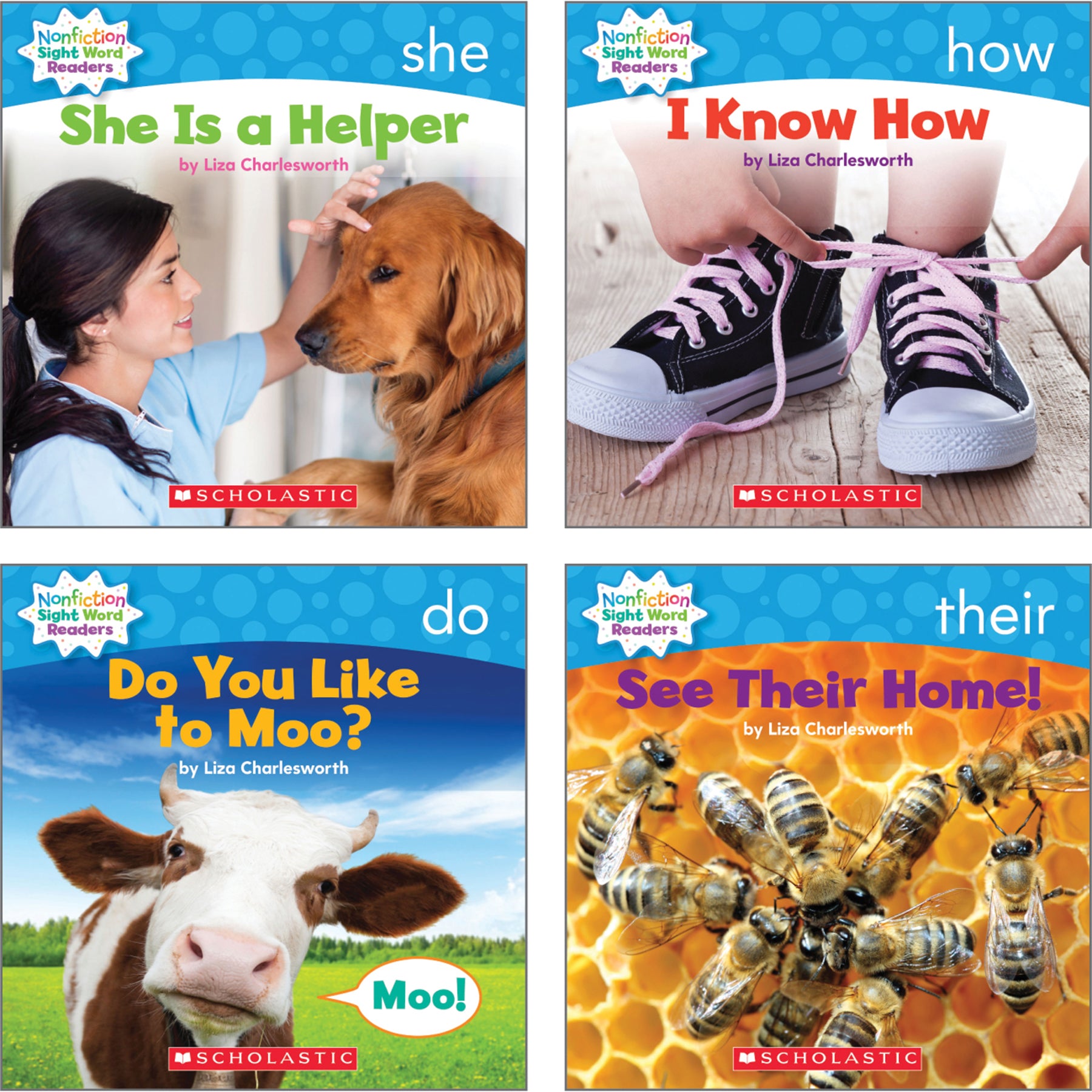 Nonfiction Sight Word Readers Classroom Tub, Level B, 6 Copies of 25 Titles