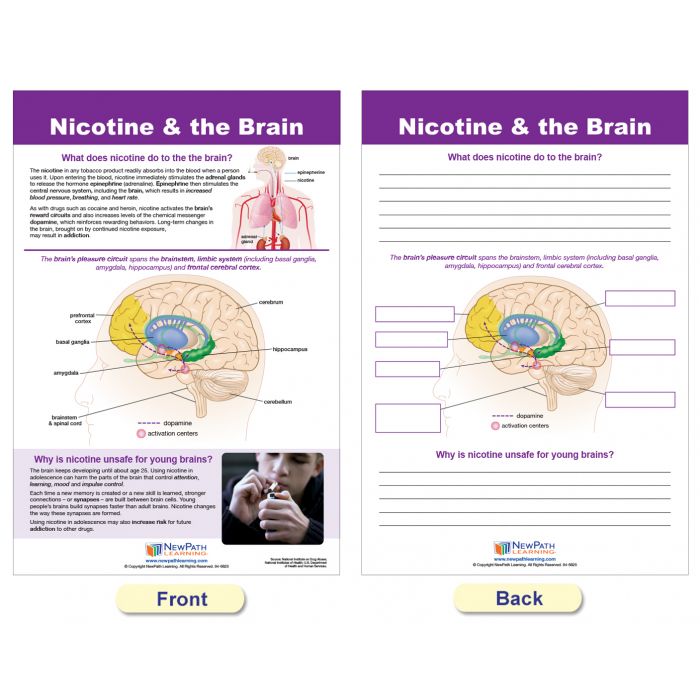 Effects of Smoking & Vaping Bulletin Board Chart Set - Set of 6