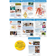 All About Opioid Drugs Bulletin Board Chart Set - Set of 7