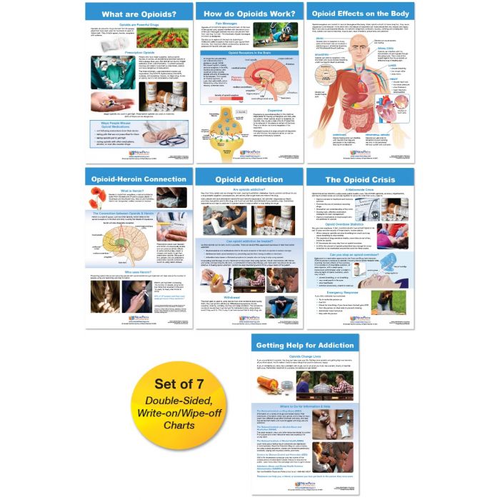 All About Opioid Drugs Bulletin Board Chart Set - Set of 7