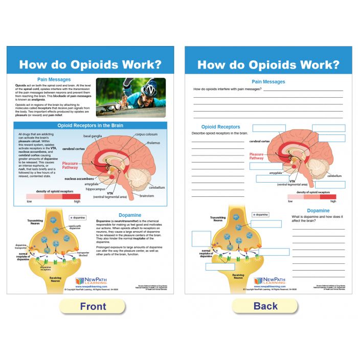 All About Opioid Drugs Bulletin Board Chart Set - Set of 7