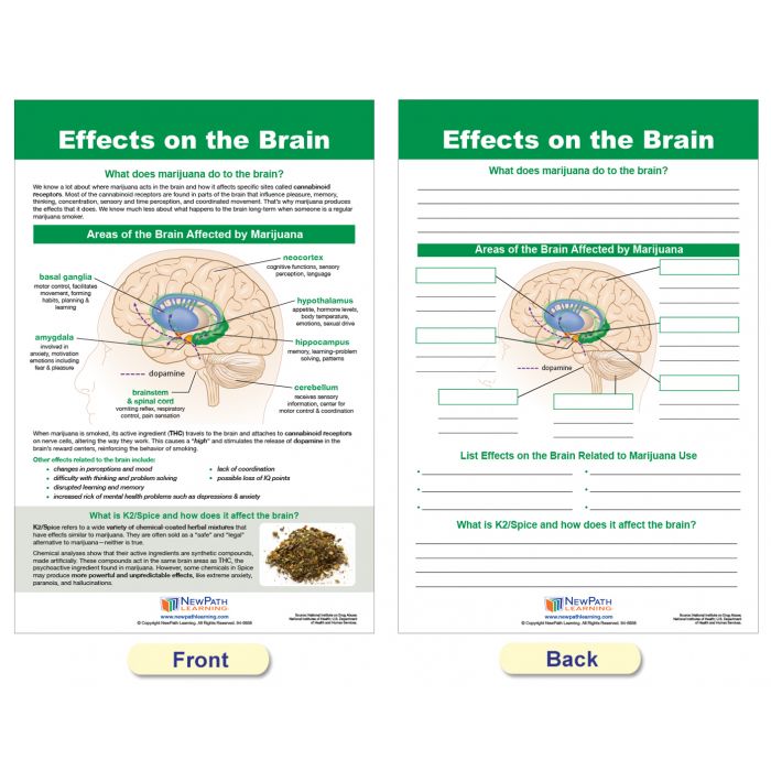 All About Marijuana Bulletin Board Chart Set - Set of 7