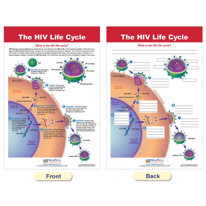 HIV & AIDS Bulletin Board Chart Set - Set of 8